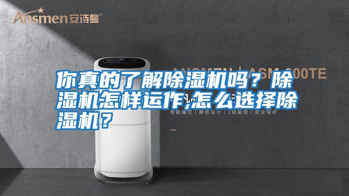 你真的了解除湿机吗？除湿机怎样运作,怎么选择除湿机？