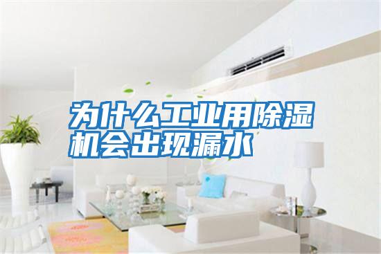 为什么工业用除湿机会出现漏水