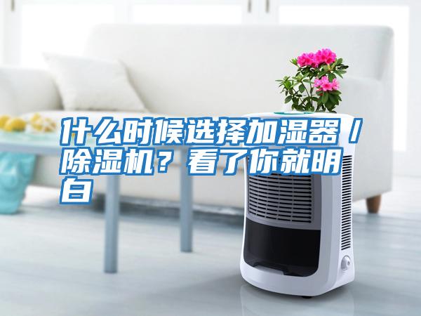 什么时候选择加湿器／除湿机？看了你就明白