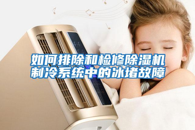 如何排除和检修除湿机制冷系统中的冰堵故障