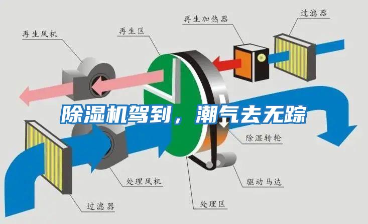 除湿机驾到，潮气去无踪