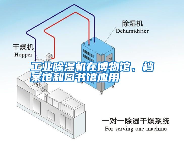 工业除湿机在博物馆、档案馆和图书馆应用