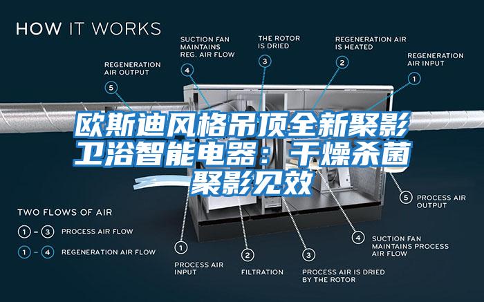 欧斯迪风格吊顶全新聚影卫浴智能电器：干燥杀菌 聚影见效