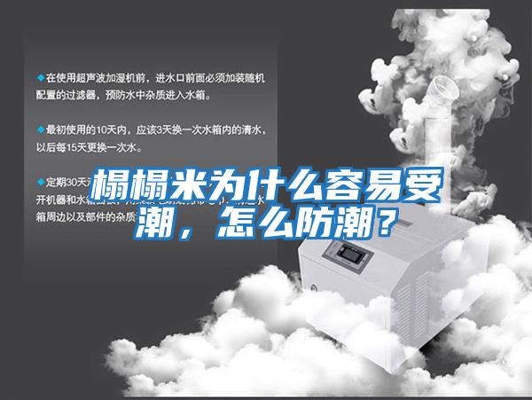 榻榻米为什么容易受潮，怎么防潮？