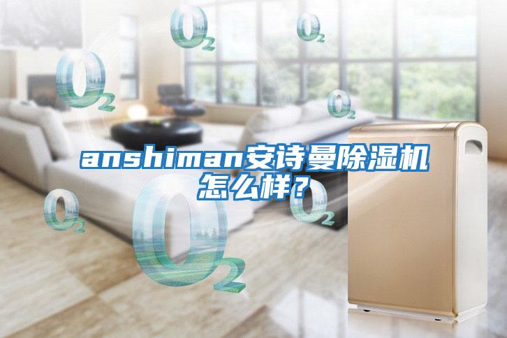 anshiman安诗曼除湿机怎么样？