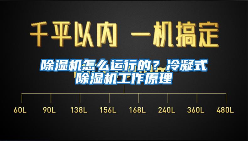 除湿机怎么运行的？冷凝式除湿机工作原理