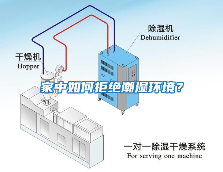 家中如何拒绝潮湿环境？