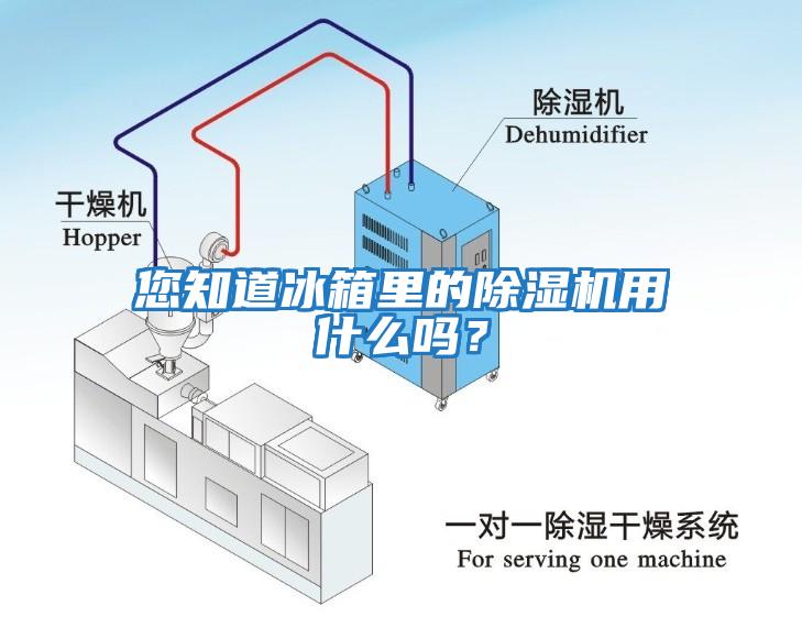 您知道冰箱里的除湿机用什么吗？