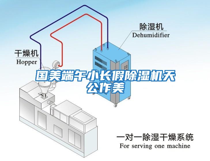 国美端午小长假除湿机天公作美