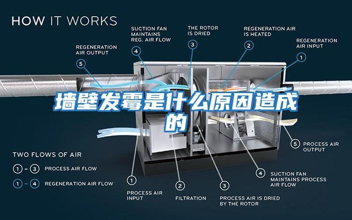 墙壁发霉是什么原因造成的