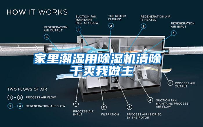 家里潮湿用除湿机清除 干爽我做主