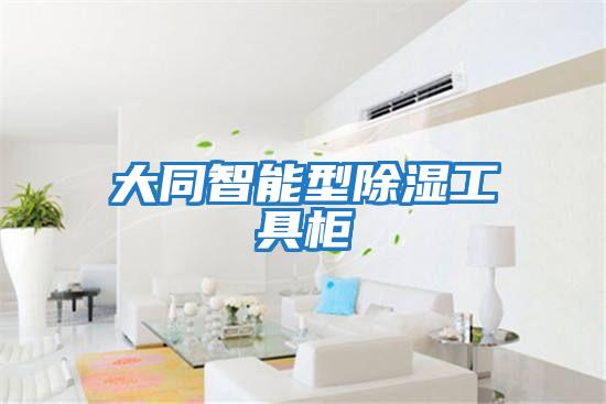 大同智能型除湿工具柜