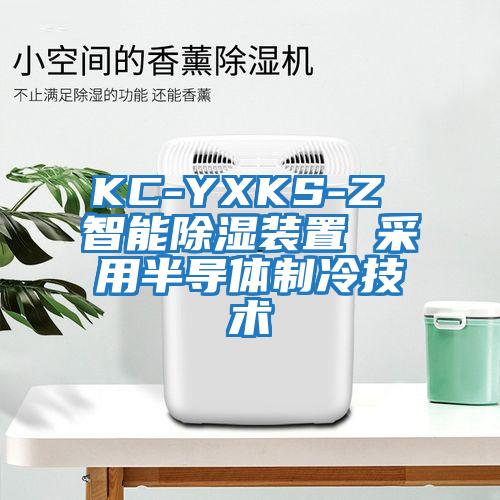 KC-YXKS-Z 智能除湿装置 采用半导体制冷技术