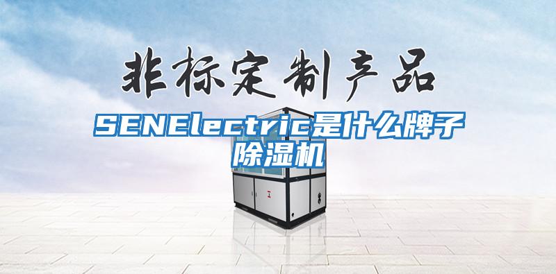 SENElectric是什么牌子除湿机