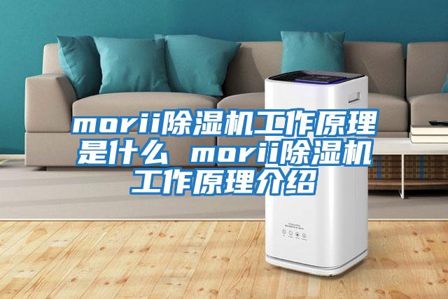 morii除湿机工作原理是什么 morii除湿机工作原理介绍