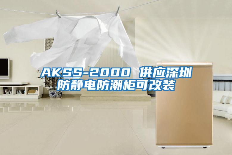 AKSS-2000 供应深圳防静电防潮柜可改装