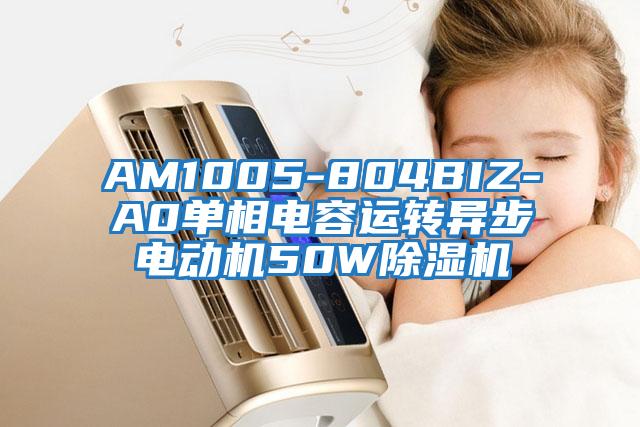 AM1005-804BIZ-A0单相电容运转异步电动机50W除湿机