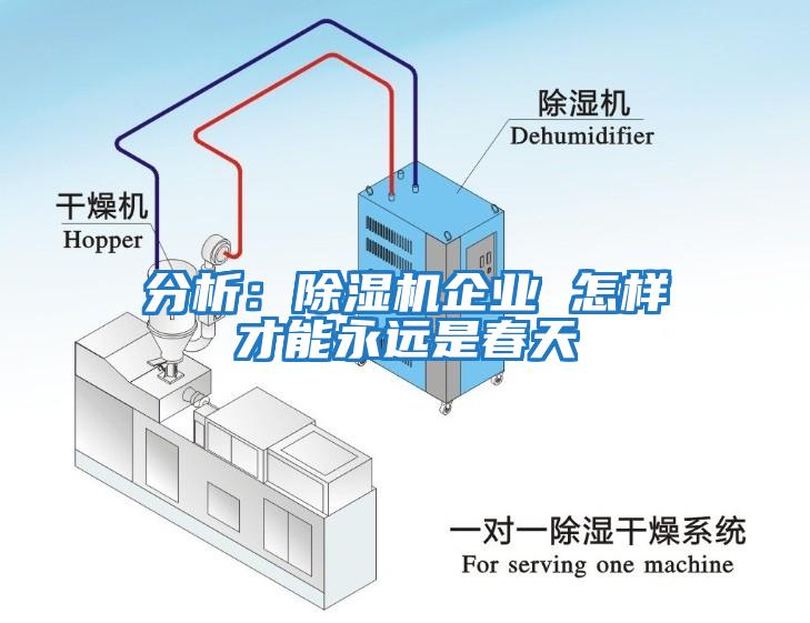 分析：除湿机企业 怎样才能永远是春天