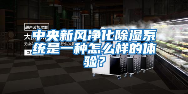 中央新风净化除湿系统是一种怎么样的体验？