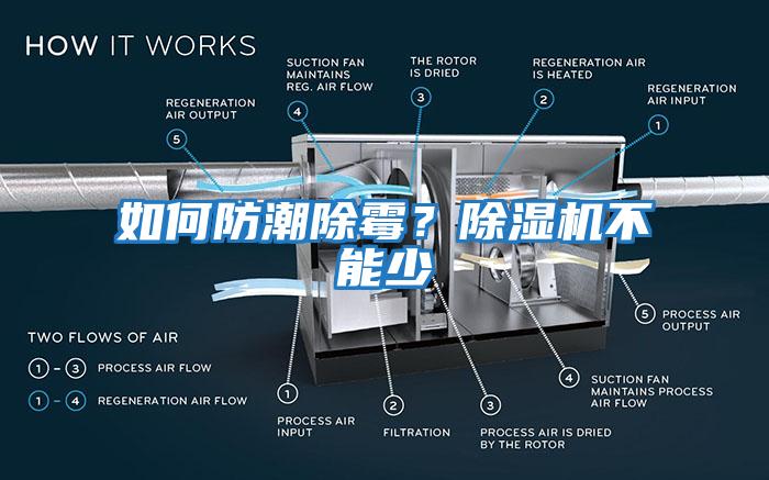 如何防潮除霉？除湿机不能少