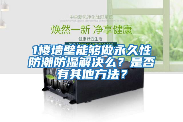 1楼墙壁能够做永久性防潮防湿解决么？是否有其他方法？