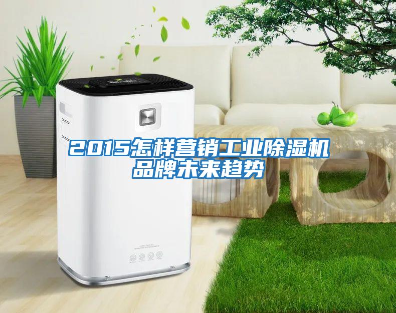 2015怎样营销工业除湿机品牌未来趋势