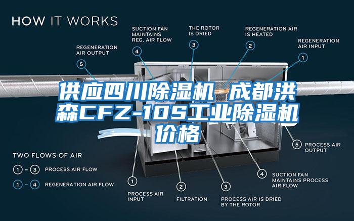 供应四川除湿机 成都洪森CFZ-10S工业除湿机价格