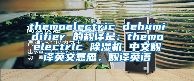 themoelectric dehumidifier 的翻译是：themoelectric 除湿机 中文翻译英文意思，翻译英语