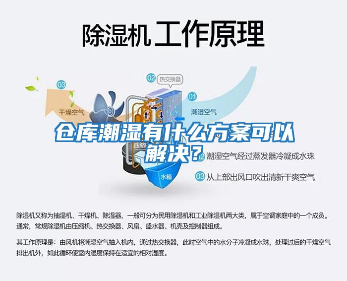 仓库潮湿有什么方案可以解决？