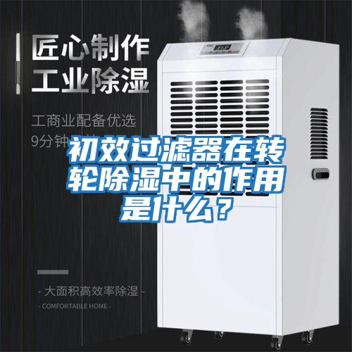 初效过滤器在转轮除湿中的作用是什么？