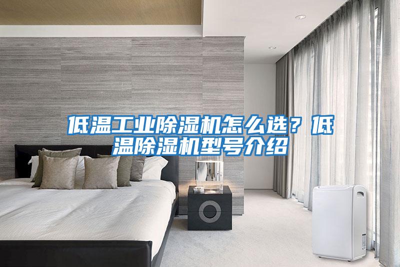 低温工业除湿机怎么选？低温除湿机型号介绍