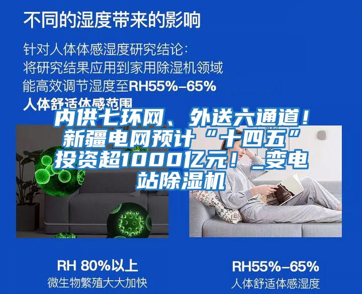 内供七环网、外送六通道！新疆电网预计“十四五”投资超1000亿元！_变电站除湿机