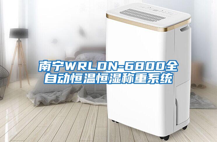 南宁WRLDN-6800全自动恒温恒湿称重系统