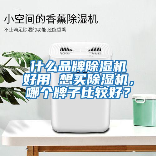 什么品牌除湿机好用 想买除湿机，哪个牌子比较好？