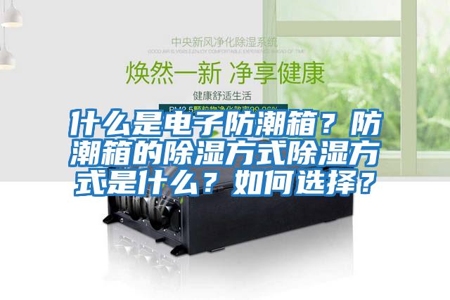 什么是电子防潮箱？防潮箱的除湿方式除湿方式是什么？如何选择？