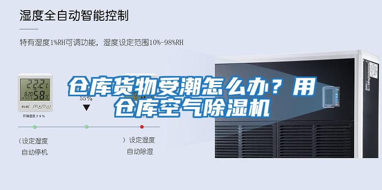 仓库货物受潮怎么办？用仓库空气除湿机