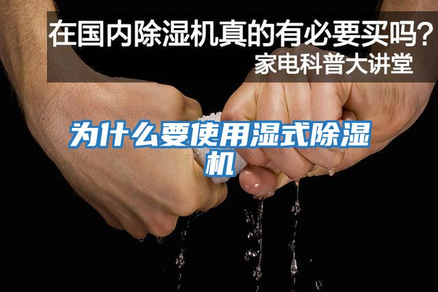 为什么要使用湿式除湿机