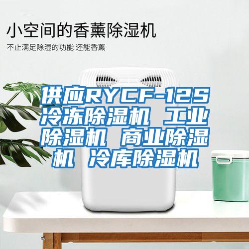 供应RYCF-12S冷冻除湿机 工业除湿机 商业除湿机 冷库除湿机