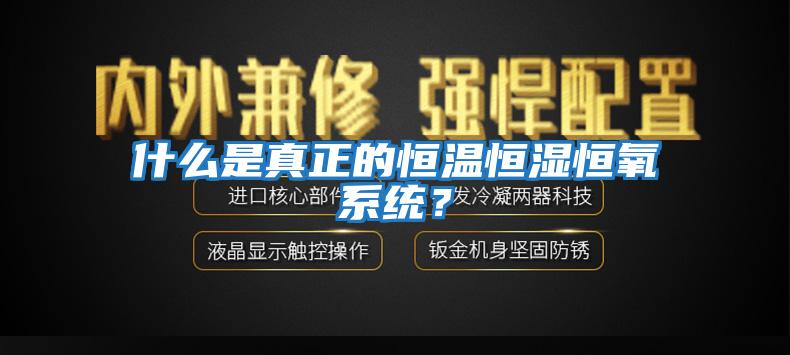 什么是真正的恒温恒湿恒氧系统？