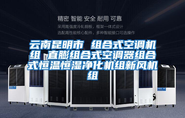 云南昆明市 组合式空调机组 直膨组合式空调器组合式恒温恒湿净化机组新风机组