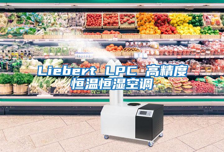 Liebert LPC 高精度恒温恒湿空调