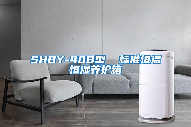 SHBY-40B型  标准恒温恒湿养护箱