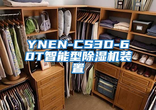 YNEN-CS3D-60T智能型除湿机装置