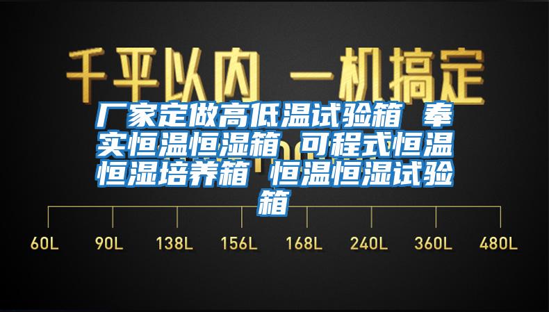 厂家定做高低温试验箱 奉实恒温恒湿箱 可程式恒温恒湿培养箱 恒温恒湿试验箱