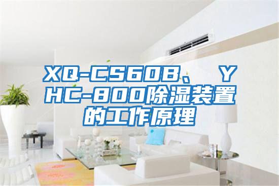 XQ-CS60B、 YHC-800除湿装置的工作原理