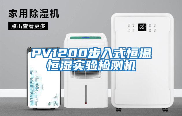 PV1200步入式恒温恒湿实验检测机