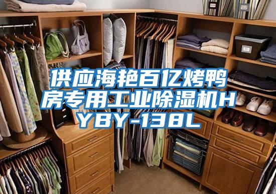 供应海艳百亿烤鸭房专用工业除湿机HYBY-138L