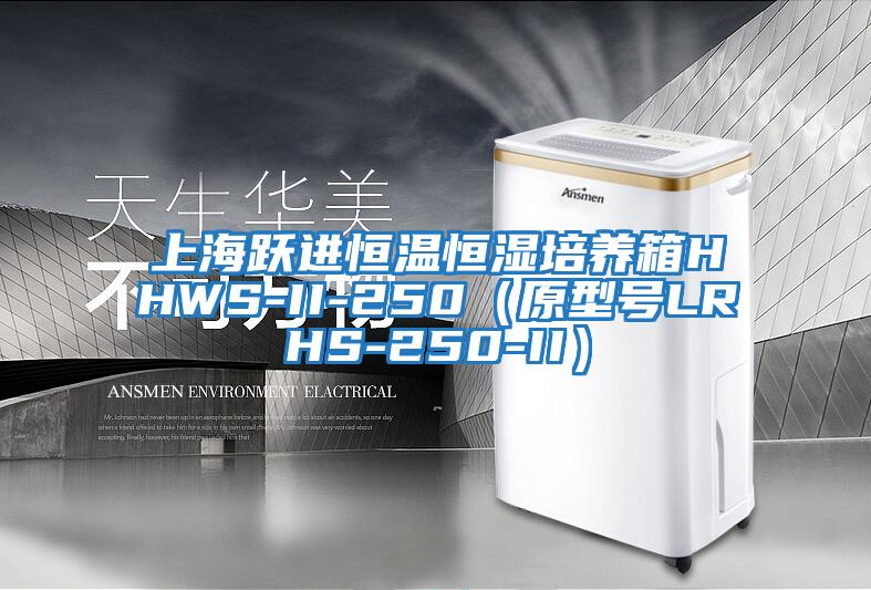 上海跃进恒温恒湿培养箱HHWS-II-250（原型号LRHS-250-II）