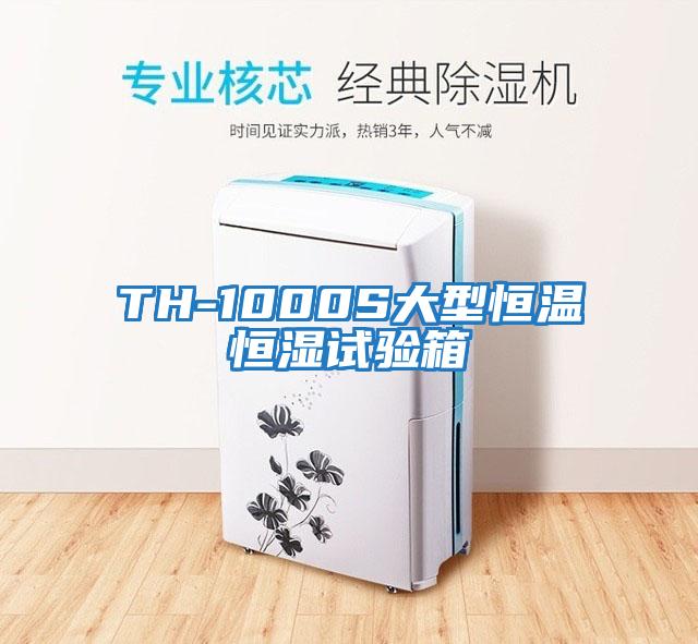 TH-1000S大型恒温恒湿试验箱