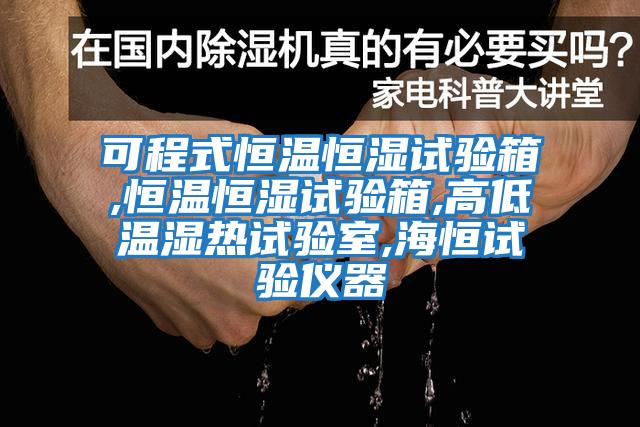 可程式恒温恒湿试验箱,恒温恒湿试验箱,高低温湿热试验室,海恒试验仪器